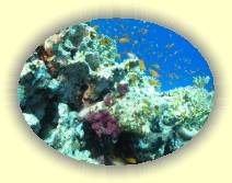 IMG_2007_05_27 18_35_23 * 2248 x 1688 * (697KB)